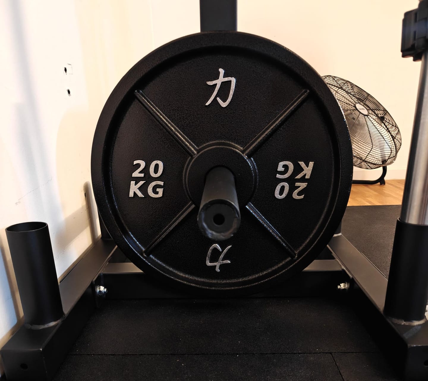 Customer photo review of Riot Cast Iron Plates