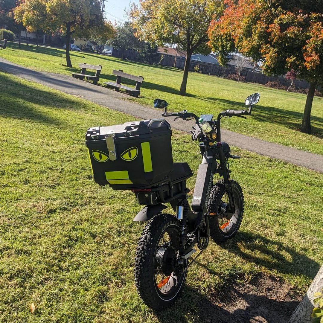 Customer photo review of Leon Dual Motor Ebike