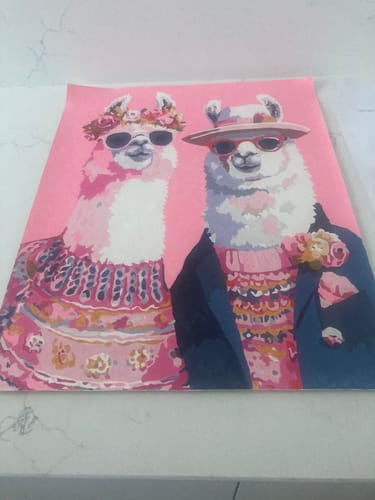 Customer's completed 'Lama’s couple' paint-by-number canvas, showing two colorful llamas wearing sunglasses and outfits.