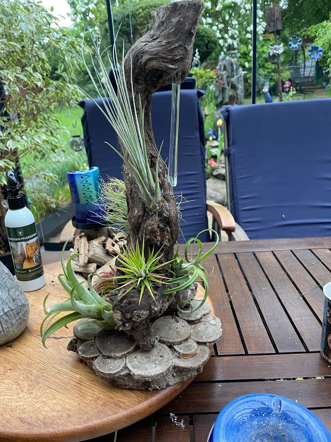 Customer photo review of Tillandsien Pflegespray