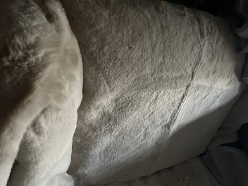Customer photo review of Faux Fur Comfy Cover / Throw