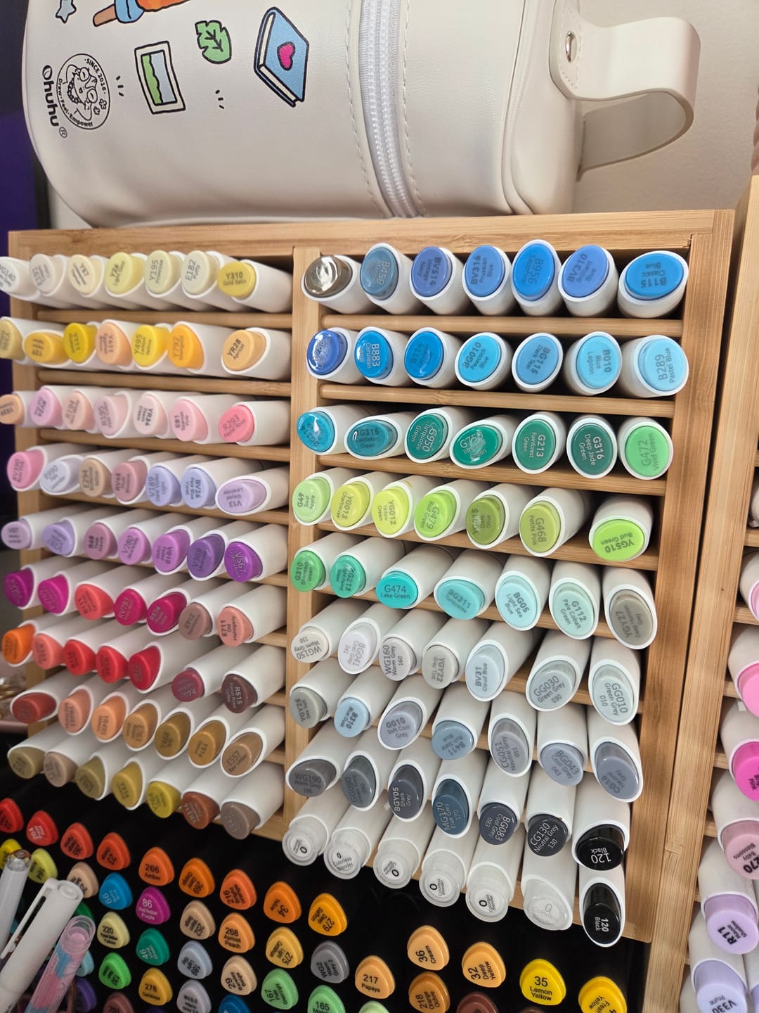 Customer photo review of Ohuhu Kaala Dual Tips Alcohol Art Markers- 60 Colors Illustrations