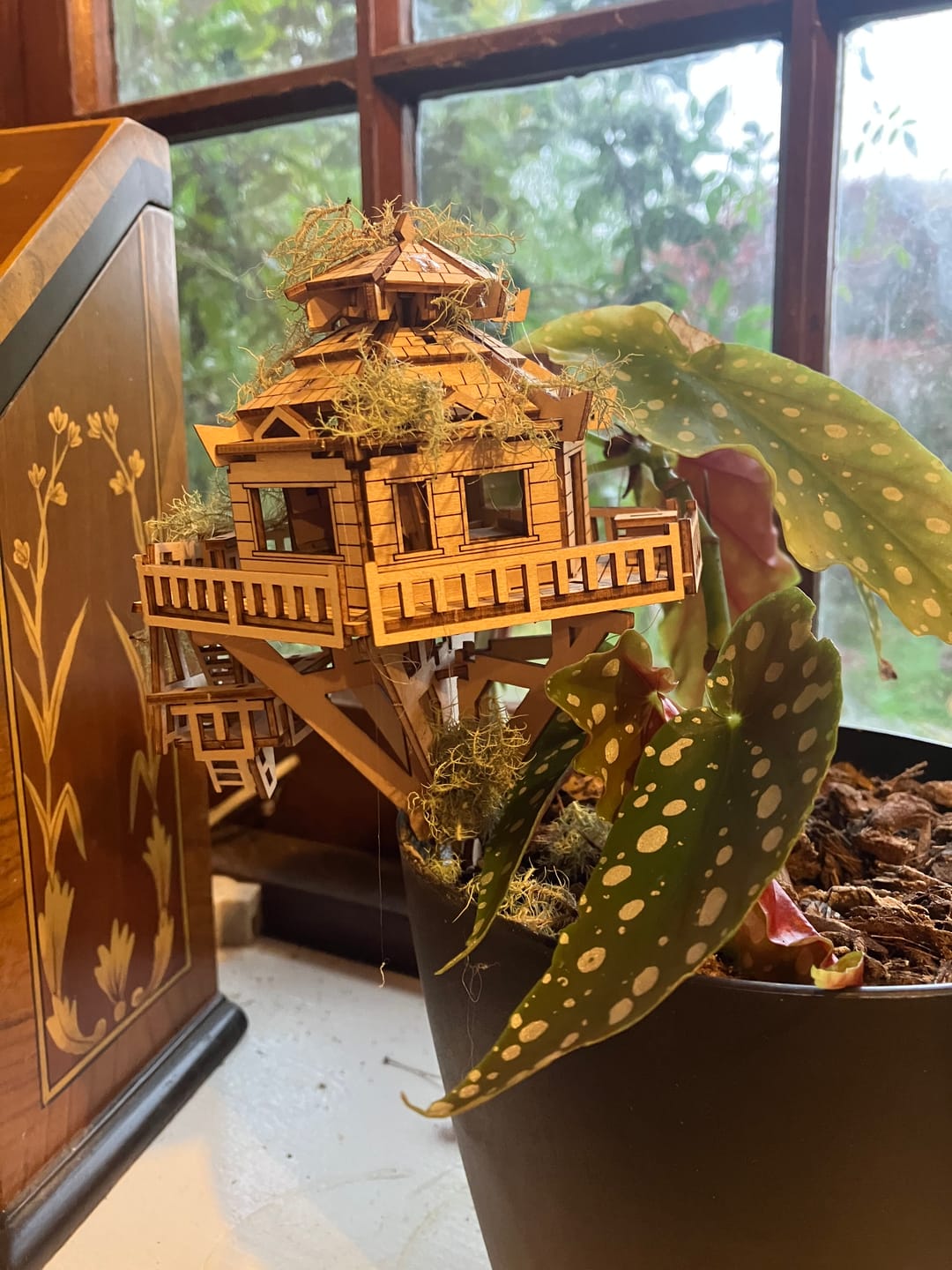 Customer photo review of Autumn Pavilion