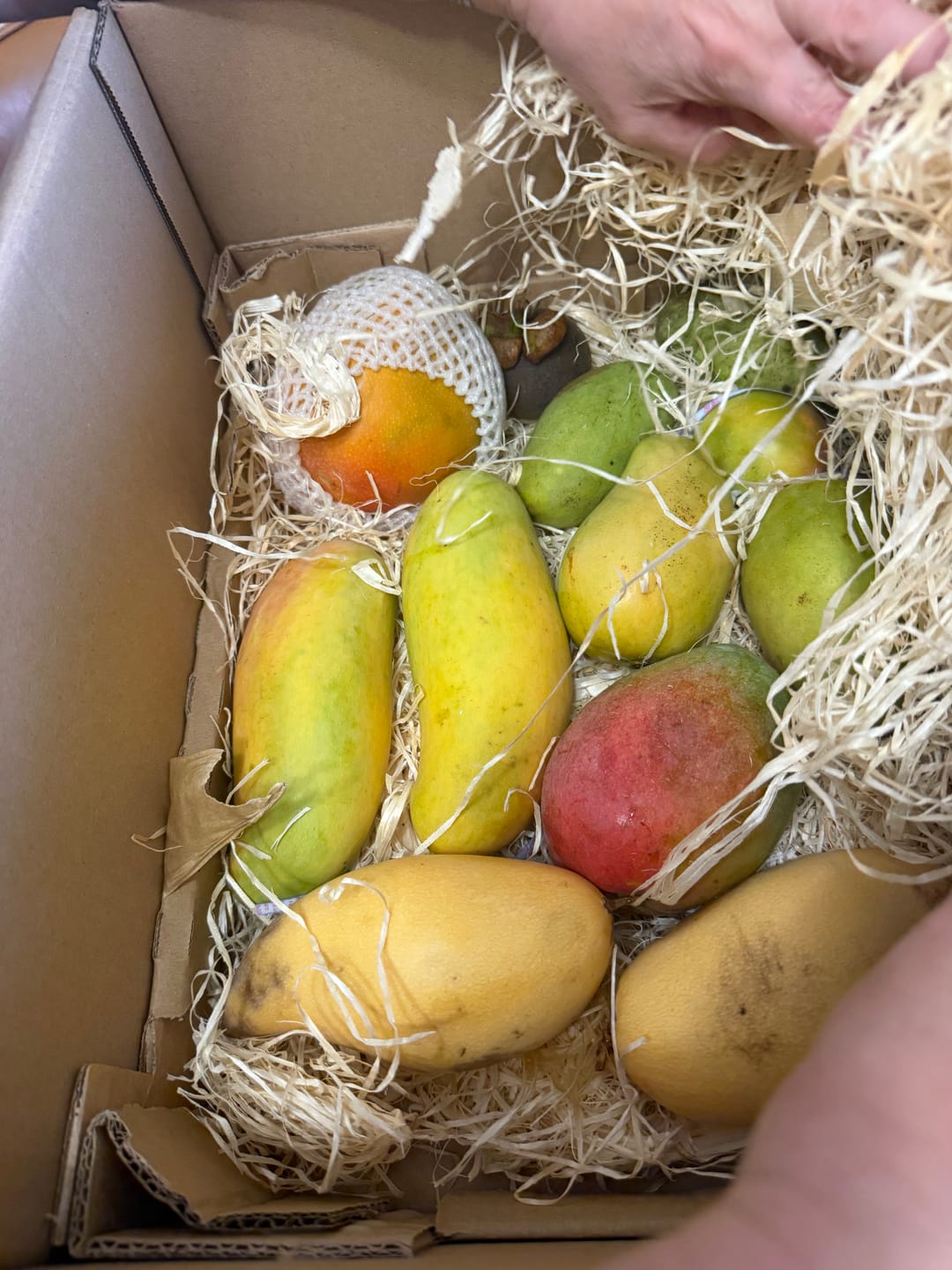 Customer photo review of Mango Entdeckerbox