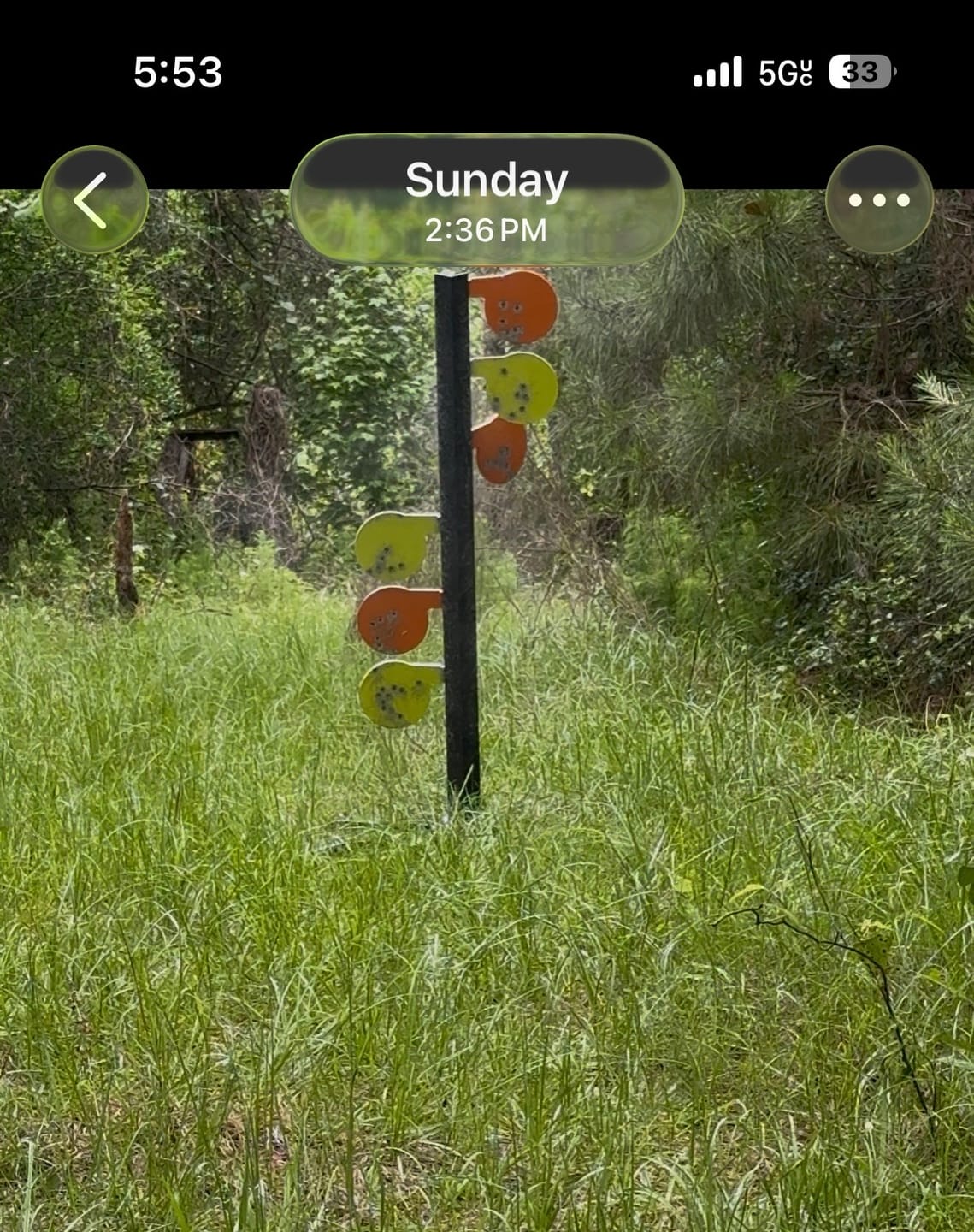 Customer photo review of AR500 Dueling Tree Target Kit - 6" x 3/8" Reactive Shooting Targets with Stand