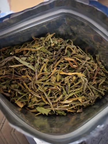 Customer photo review of Cheap THCA Flower Trim