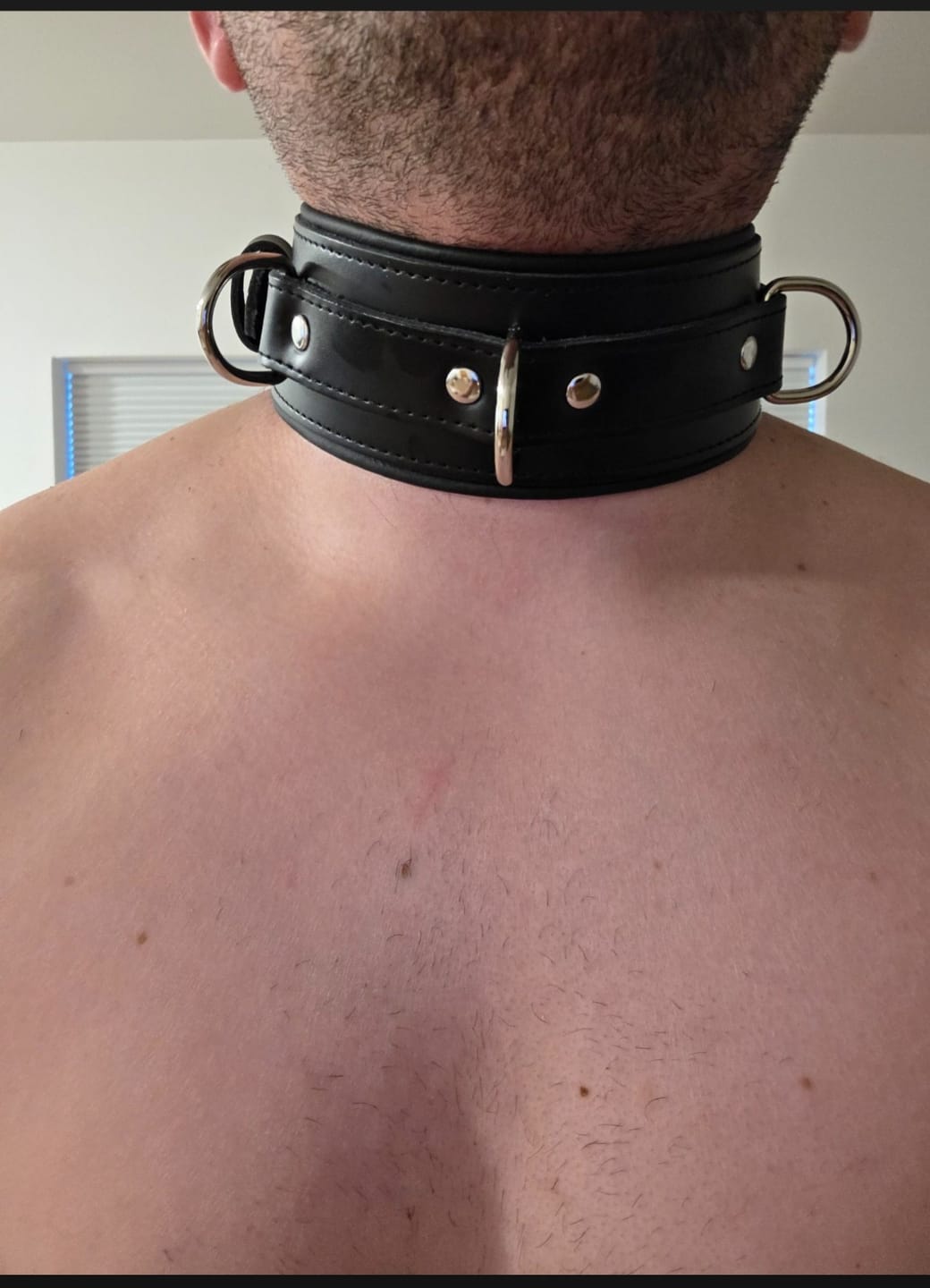 Customer photo review of Strict Leather Premium Locking Collar