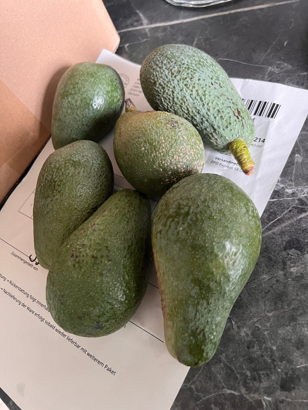 Customer photo review of Avocado Fuerte 13 Monate baumgereift von Julian