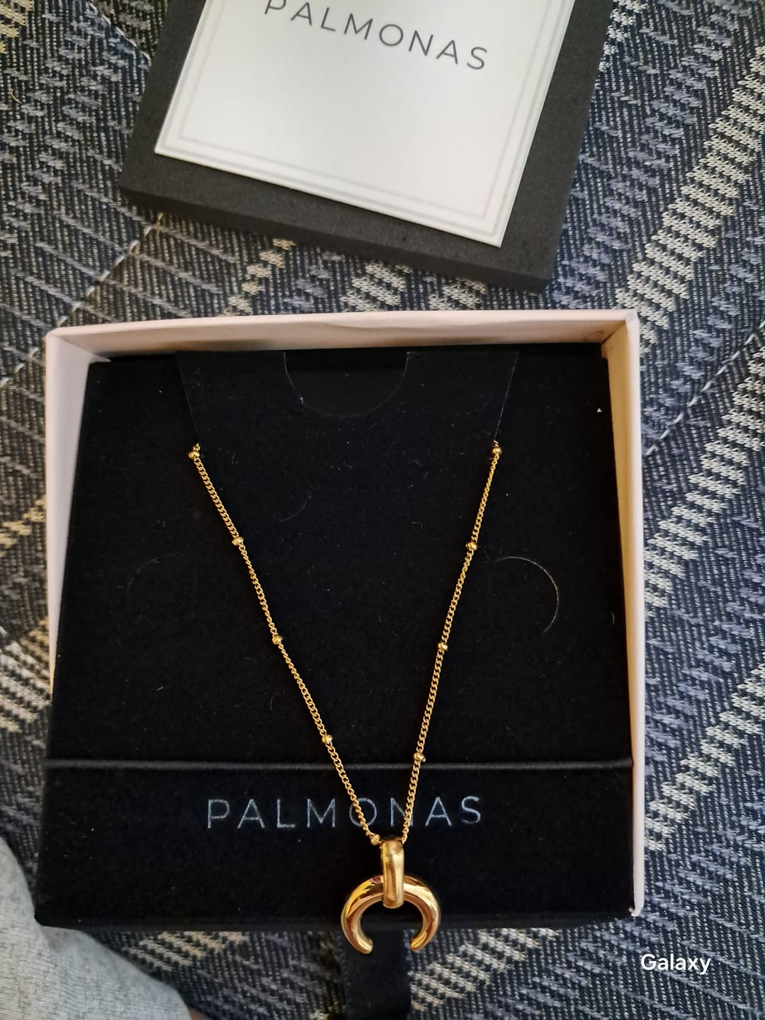 Customer photo review of Tiny Horn Necklace