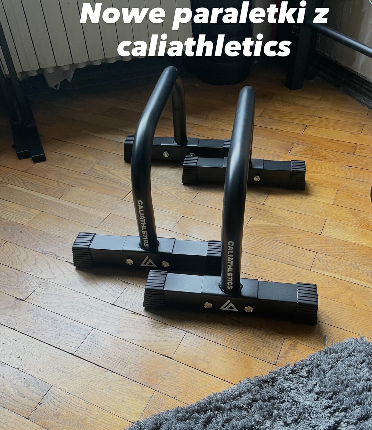 Customer photo review of NEW Metal Parallettes PRO