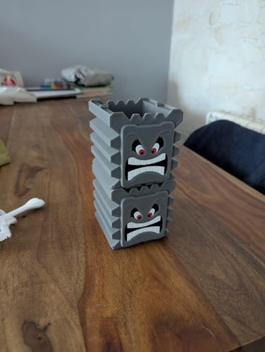 Customer photo review of Anycubic Kobra X