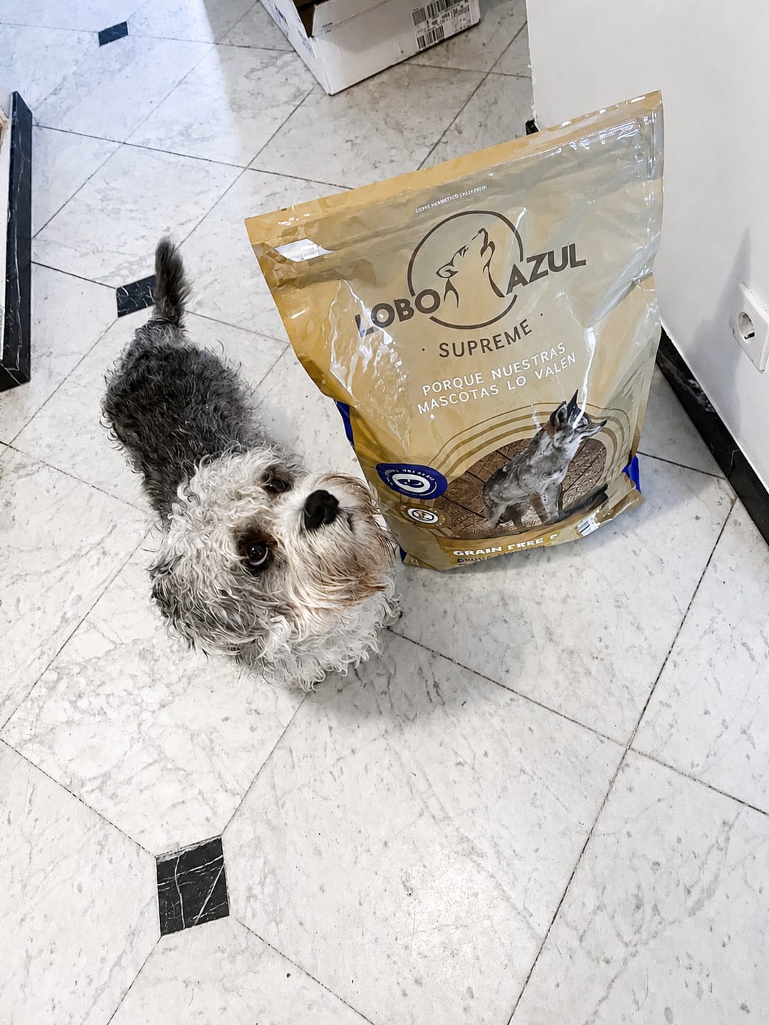 Customer photo review of Grain Free Adult Chicken & Turkey