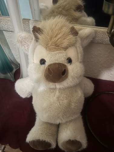 Customer photo review of Original Movito™ El peluche que corre