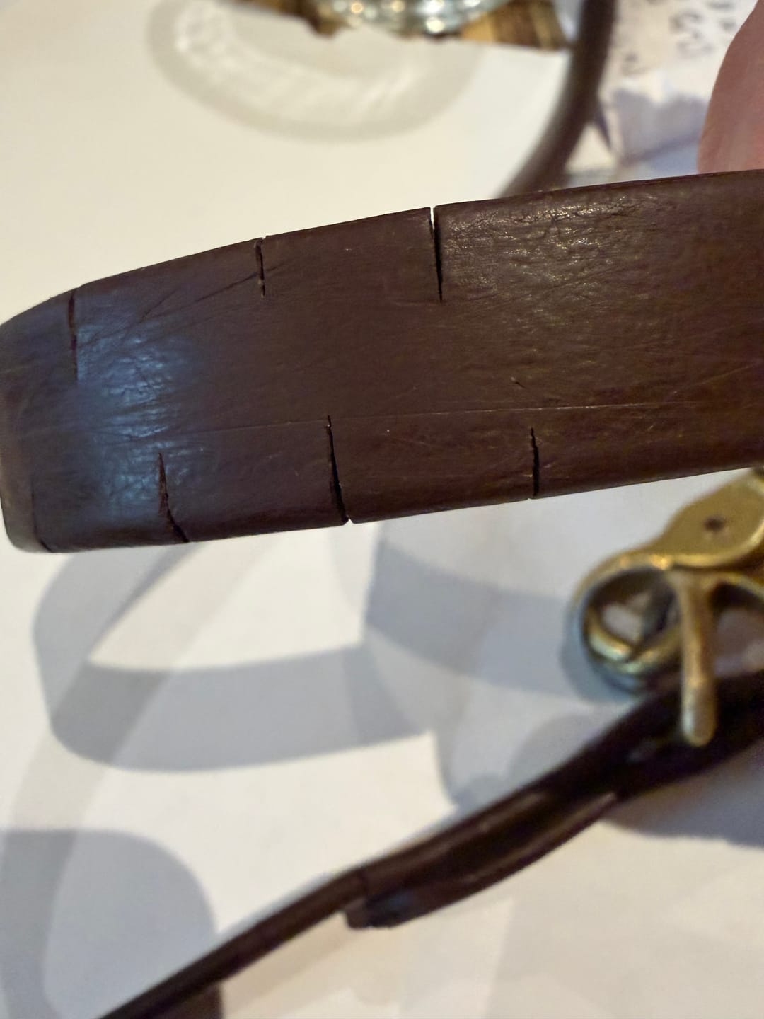 Customer photo review of Biothane Traffic Handle Dog Leash