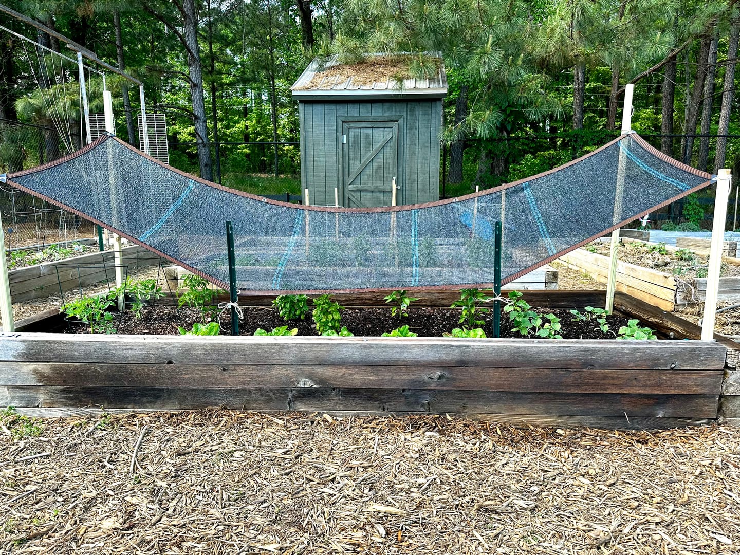 Customer photo review of 30% Shade Cloth