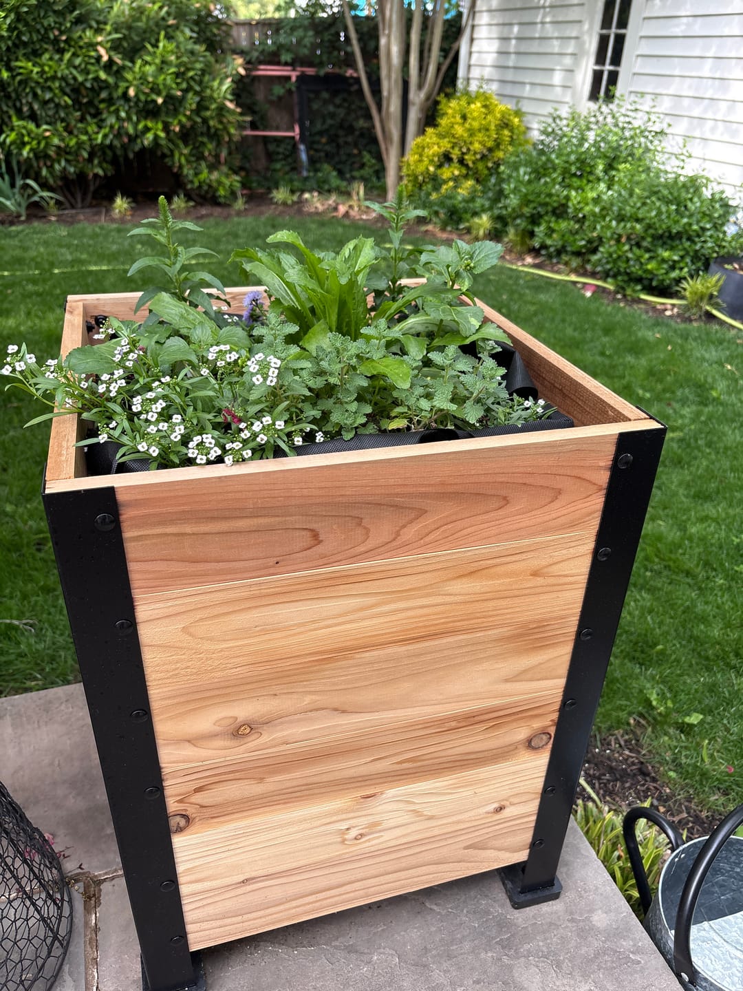 Customer photo review of 18″ x 18″ Planter Box - 24" TALL / Select Grade
