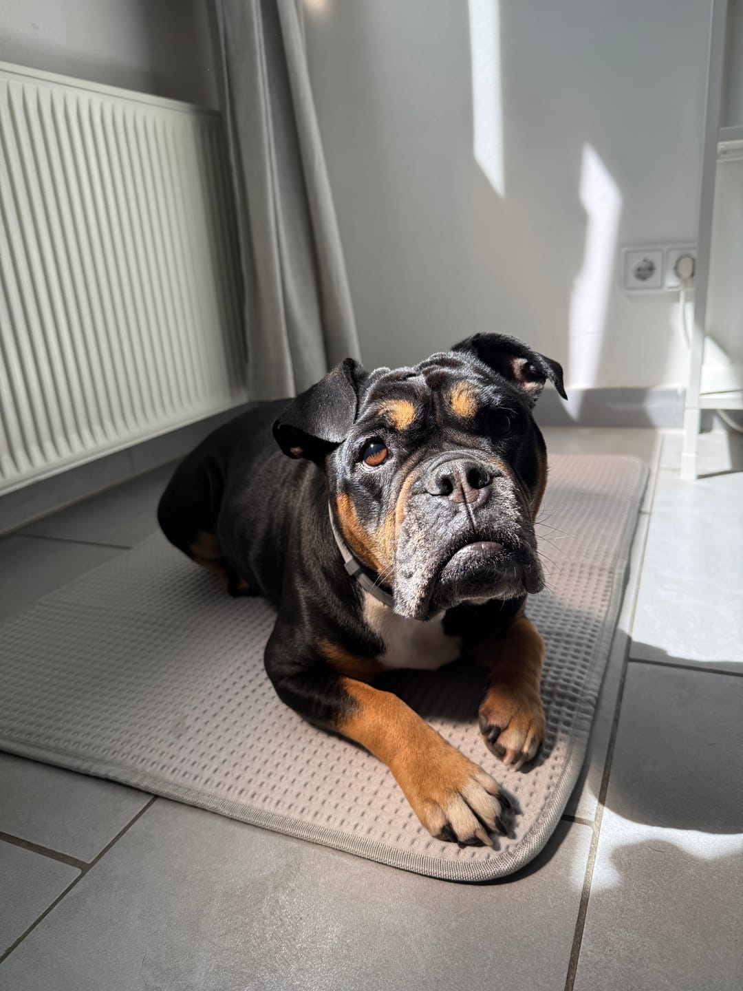 Customer photo review of Frostcore™ Cooling Mat