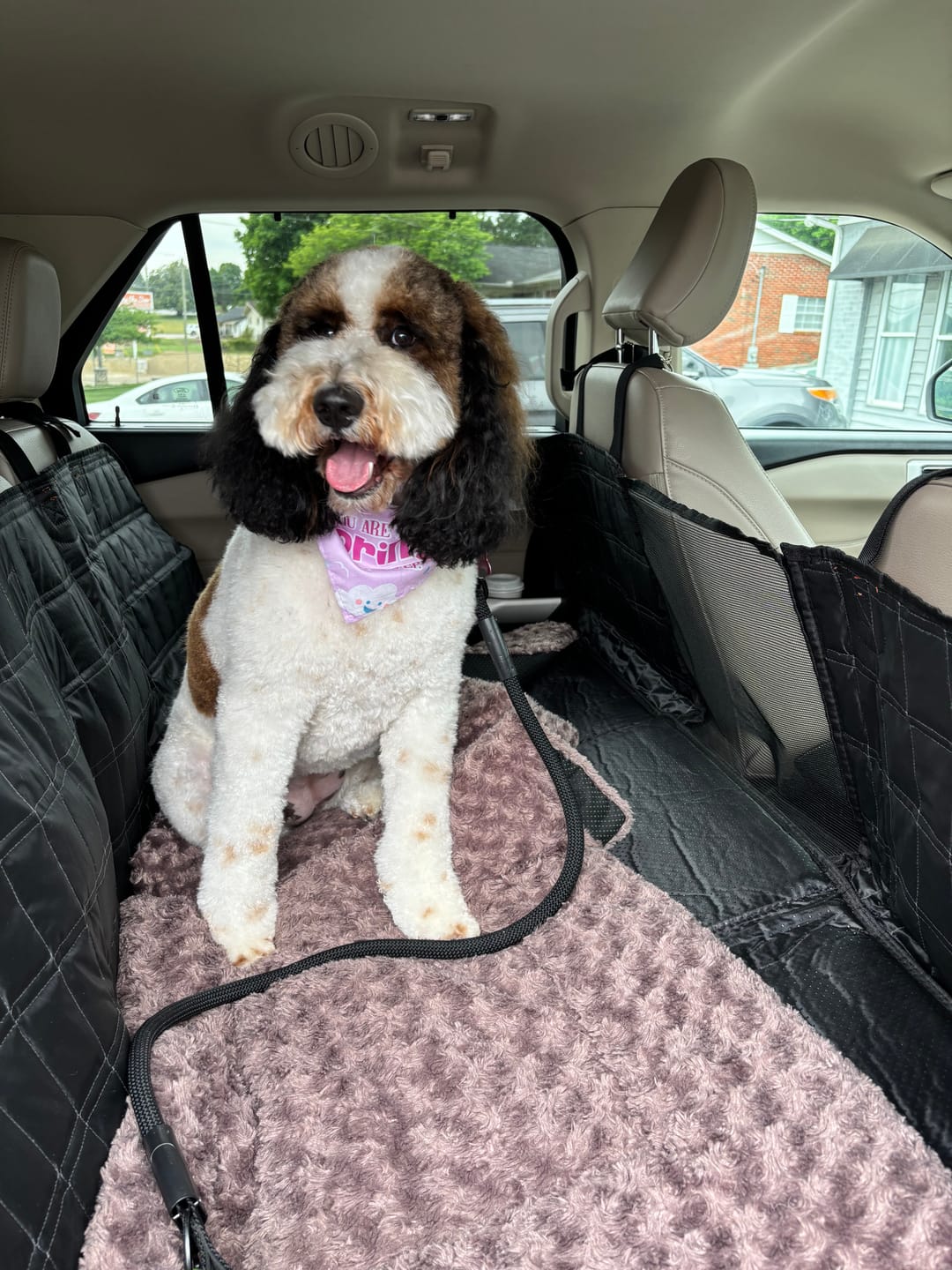 Customer photo review of CozyRider™ 2.0