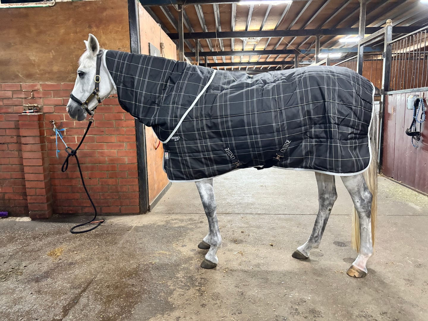 Customer photo review of Rhino Stable Neck Rug 100g