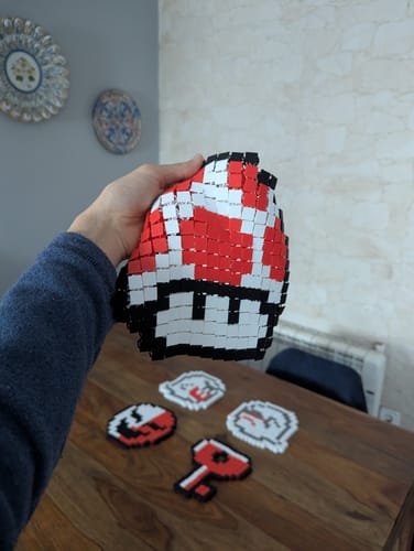 Customer photo review of Anycubic Kobra X