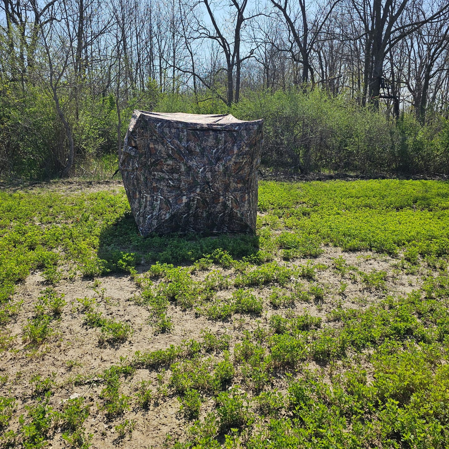 Customer photo review of VisMaster 3-4 Person See Through Hunting Blind | 270° Portable Pop Up Deer Blinds | Blaze Orange Weatherproof Ground Blind with No-Trip Door