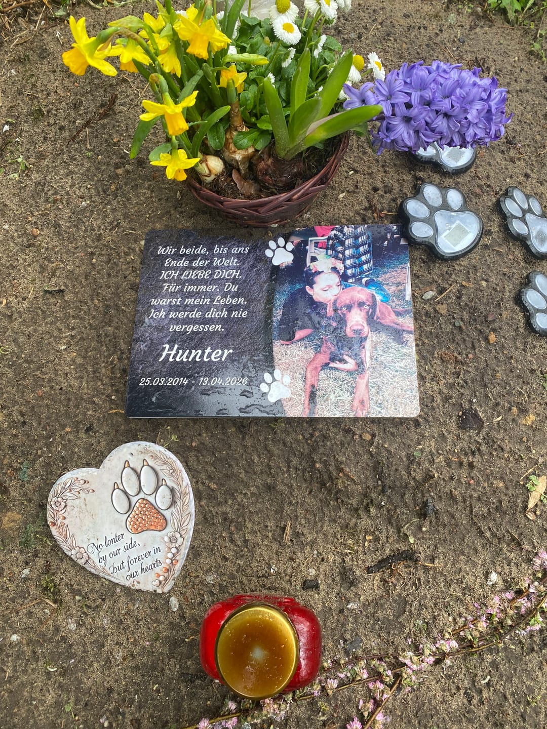 Customer photo review of Hunde Gedenktafel mit Foto & Spruch (UV- & Wetterfest)
