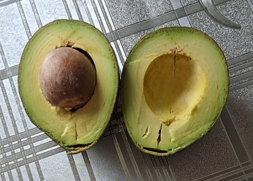 Ein Kunde zeigt eine aufgeschnittene, cremige Mini Reed Avocado auf einem Tisch.