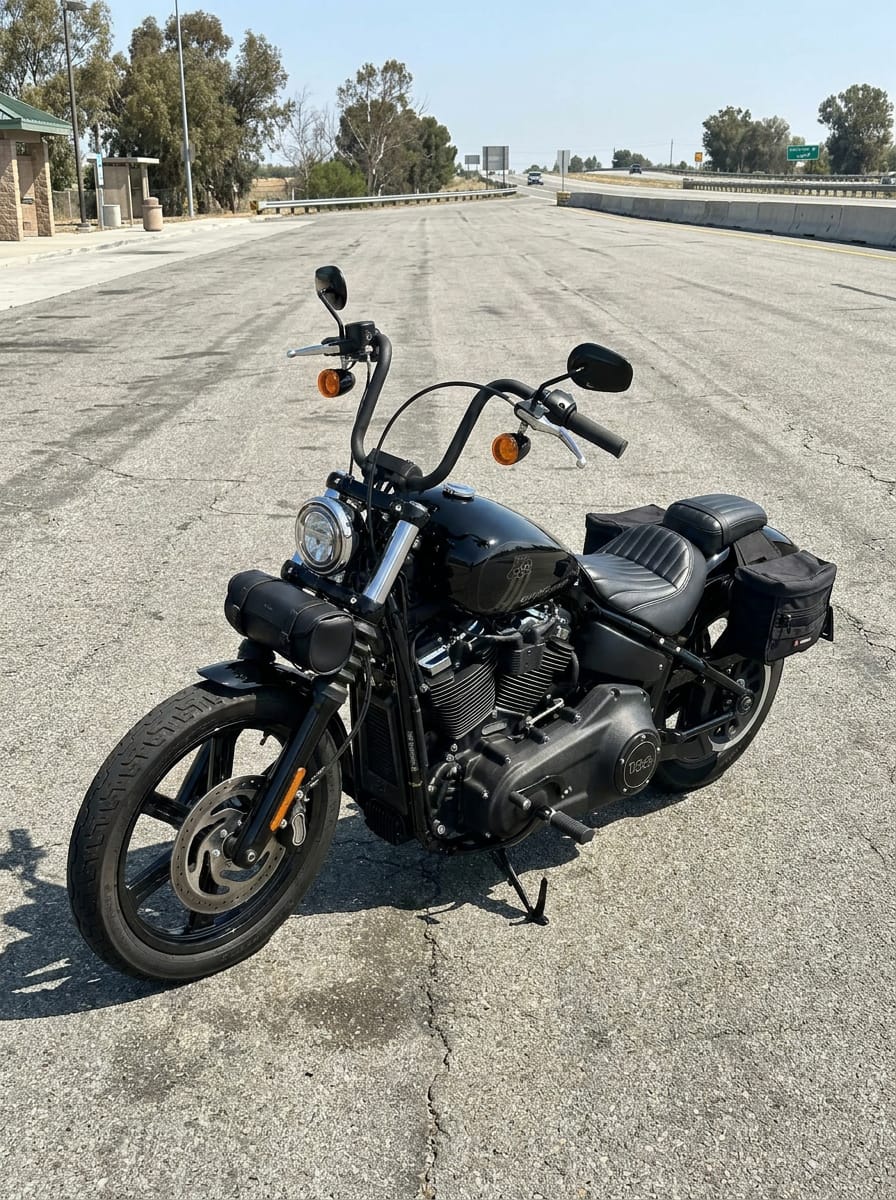 Customer photo review of 10L - Patriot Small Throw Over Saddlebags for Harley Softail Street Bob FXBB/S