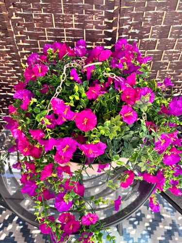 Close-up of customer's Outdoor Hanging Petunia Basket, showing vibrant purple flowers and full green foliage on a table.