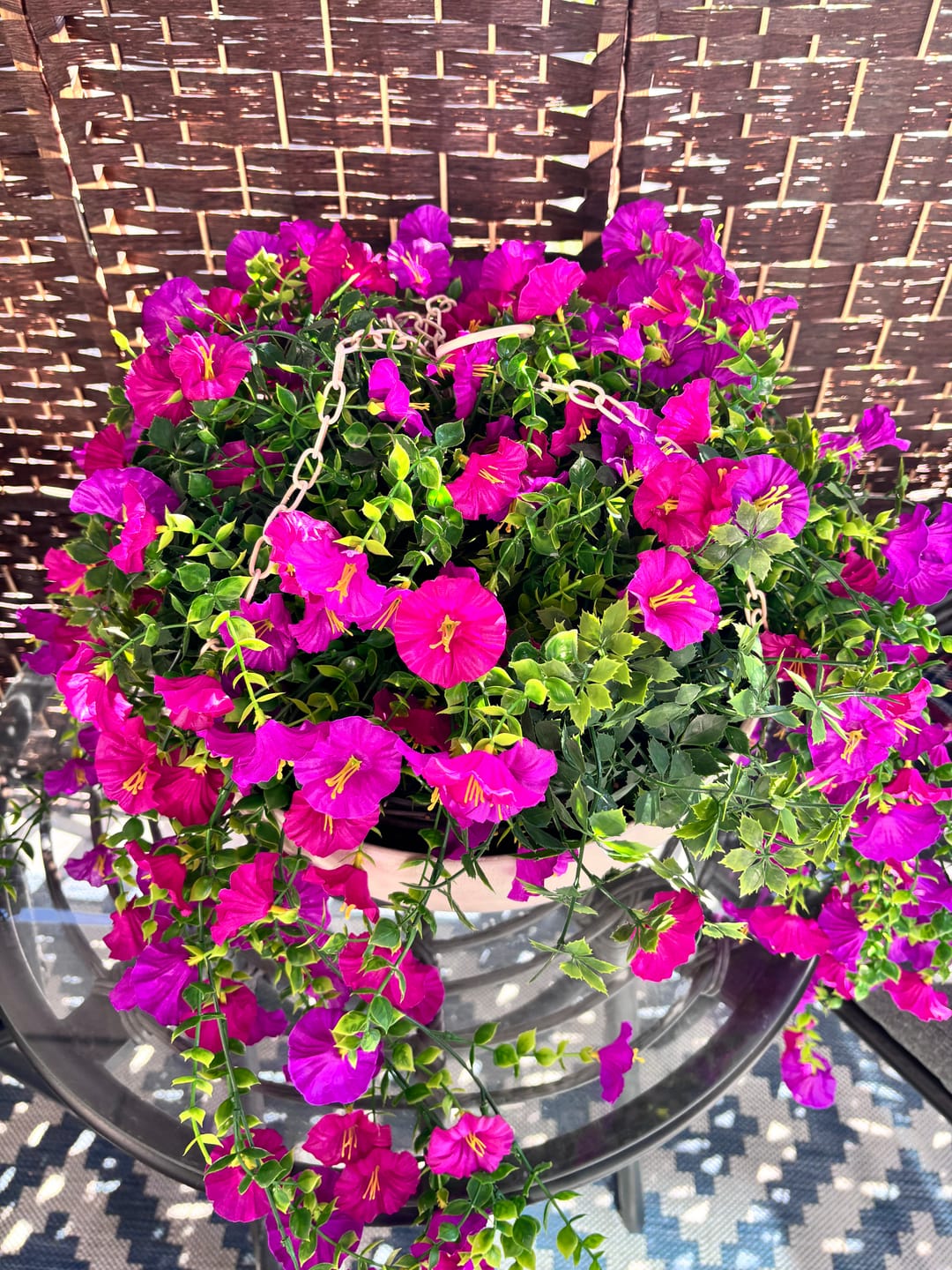 Customer photo review of Outdoor Hanging Petunia Basket - Purple