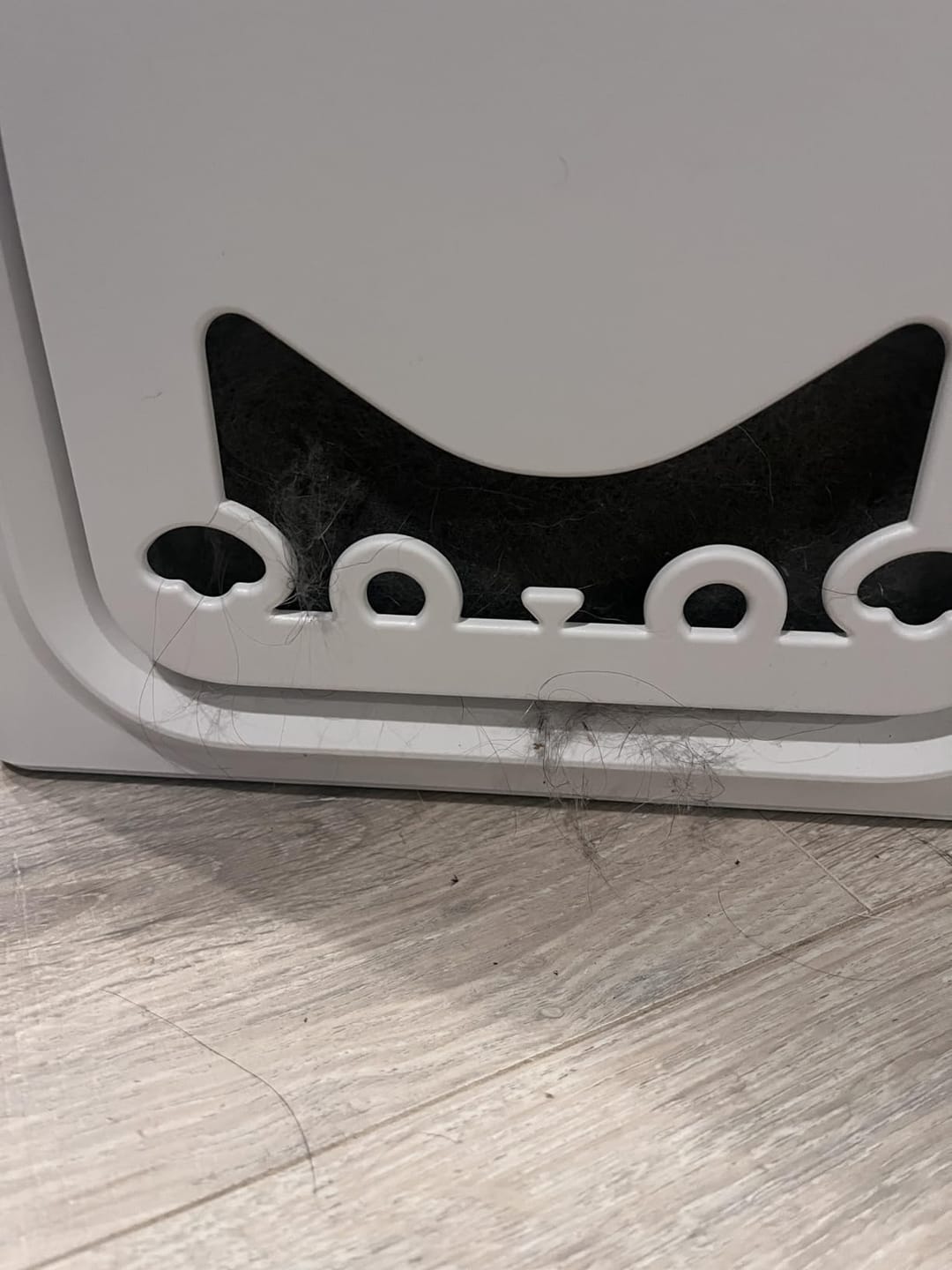Customer photo review of Oneisall Air Purifier for Homes with Pets, Double-Sided Inlet