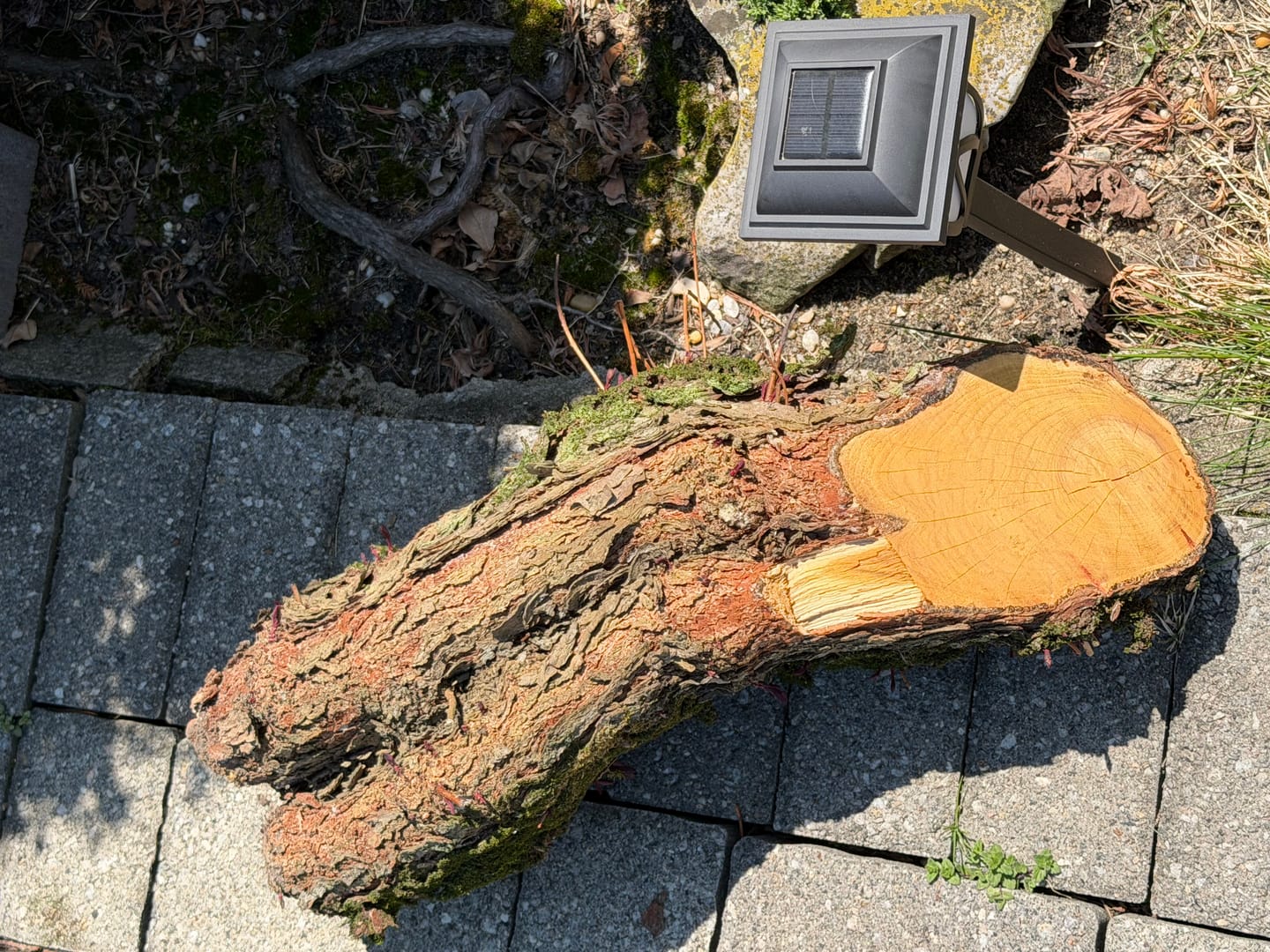 Customer photo review of Tree Trimming/Wood Cutting – ProCut U-Groove Arc Edge Pruning Reciprocating Saw Blade