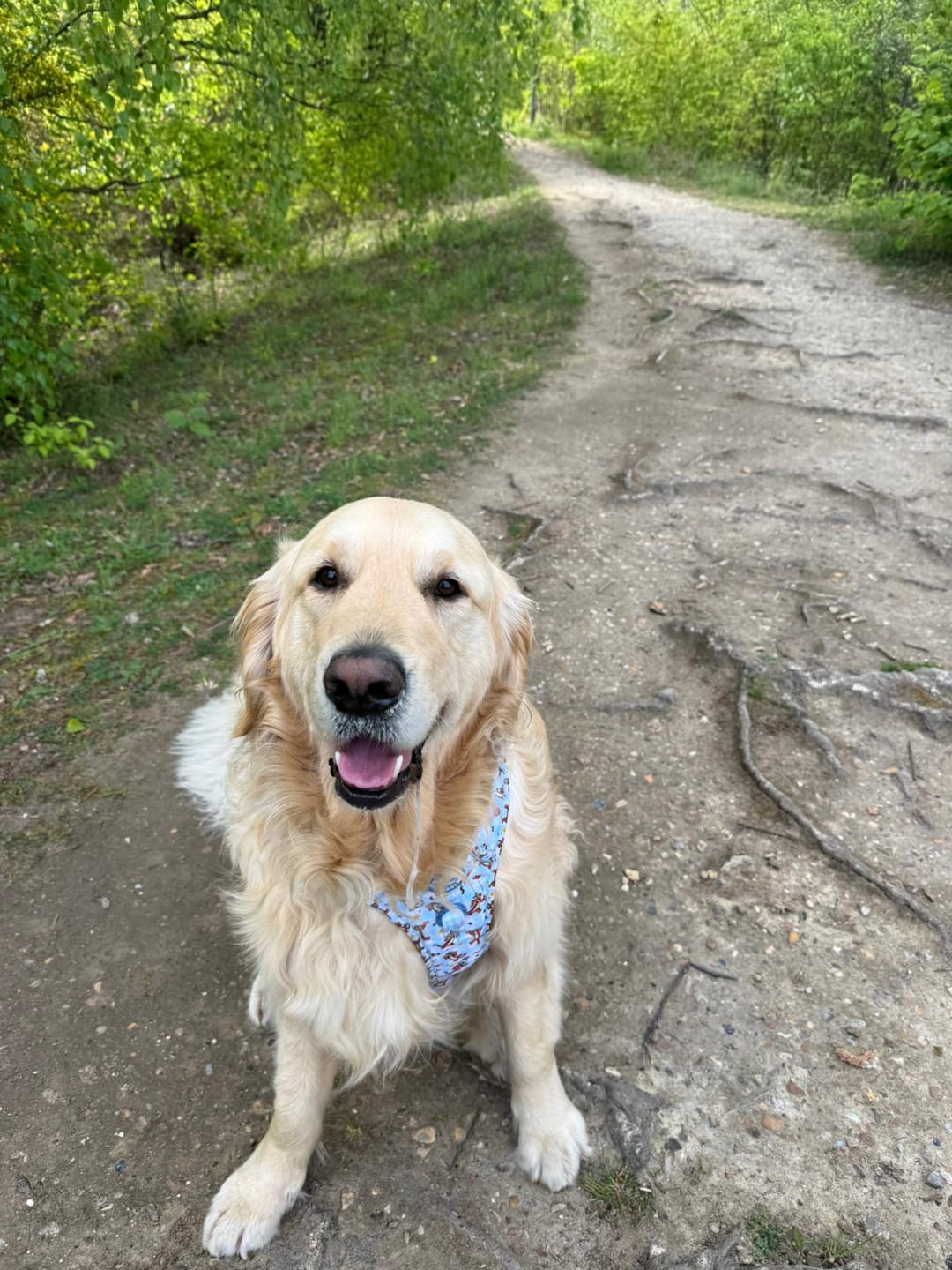 Customer photo review of Disney© Tough Trails™ Harness - Tigger