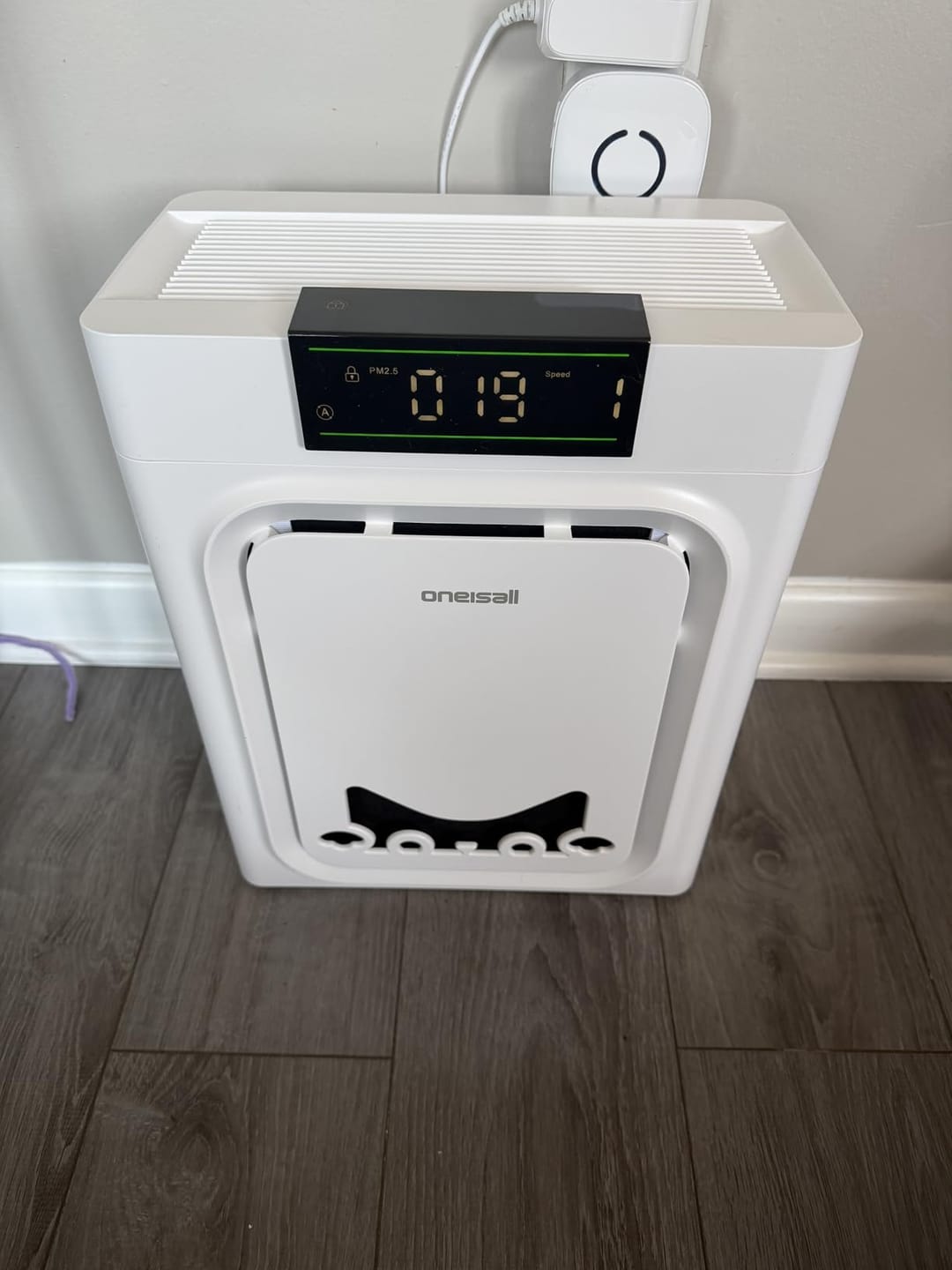 Customer photo review of Oneisall Air Purifier for Homes with Pets, Double-Sided Inlet