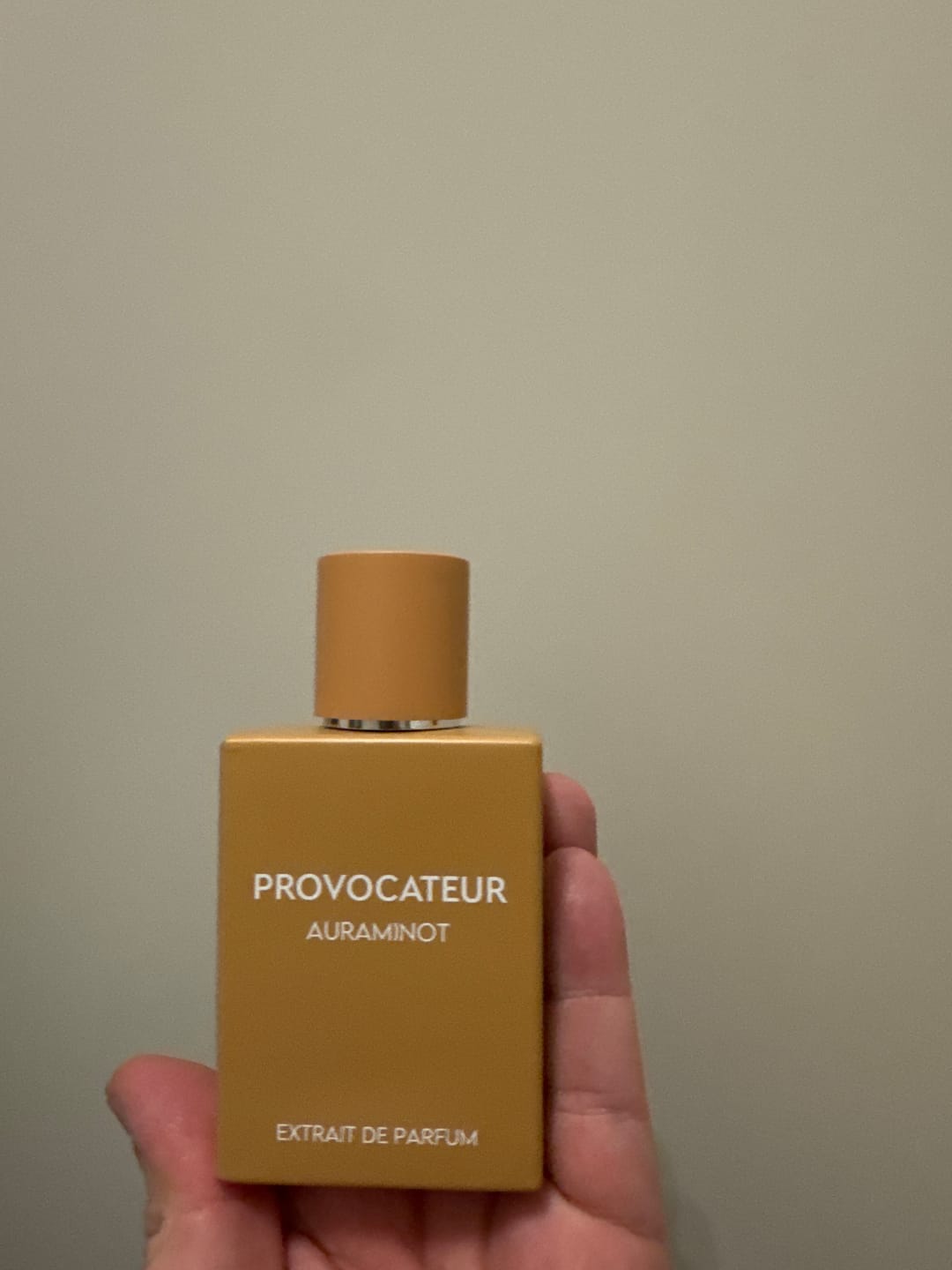 Customer photo review of PROVOCATEUR