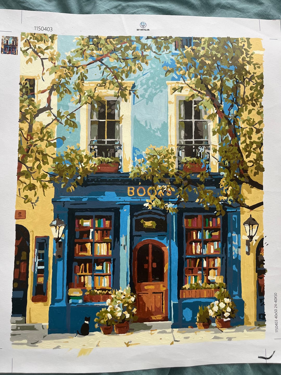 Customer photo review of The Blue Bookshop | Paint by Number