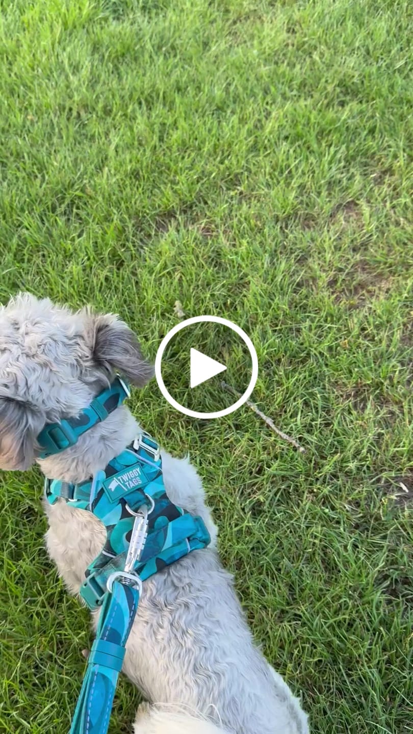 Customer video review of Multi-Way Lead