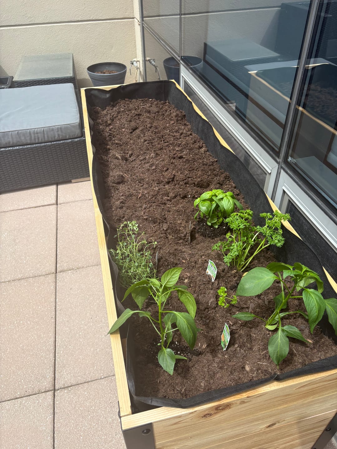 Customer photo review of 18" x 60" Raised Garden Bed - 30" TALL / Garden Grade