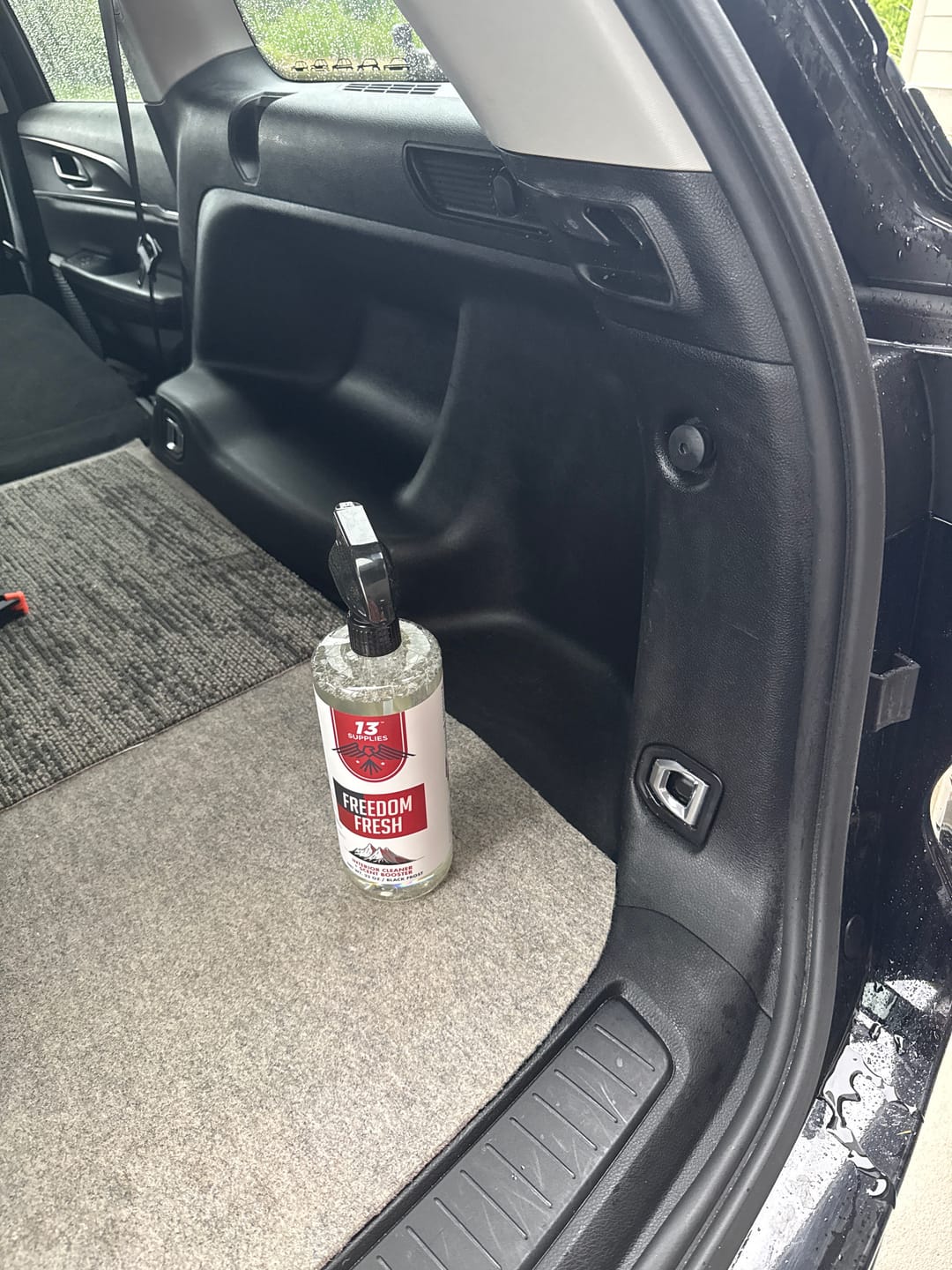 Customer photo review of FREEDOM FRESH: INTERIOR CLEANING SPRAY WITH SCENT BOOSTER