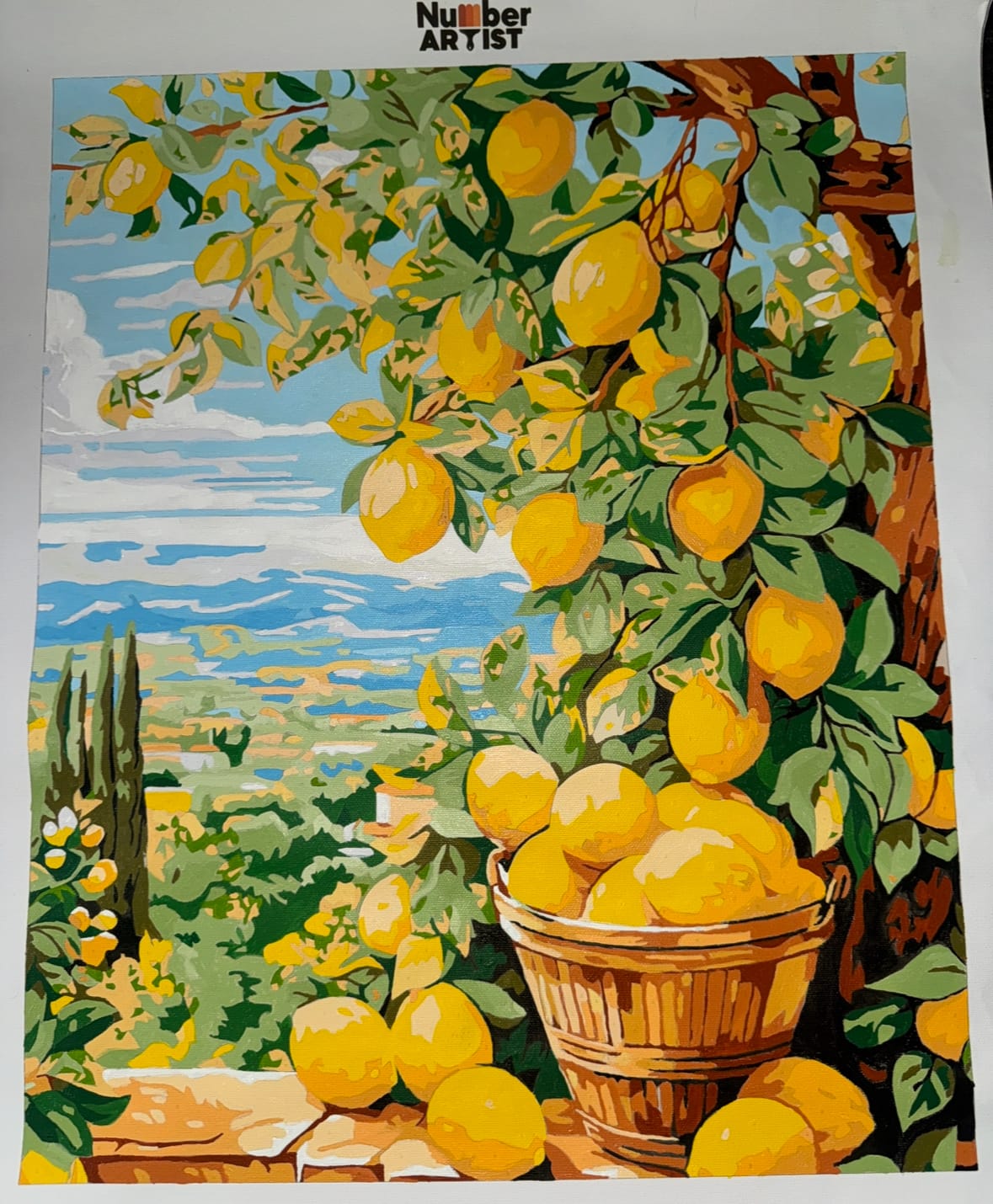 Customer photo review of Bounty Lemons