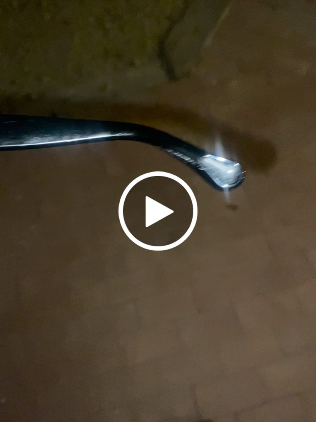 Customer video review of DIRTY MARTINI