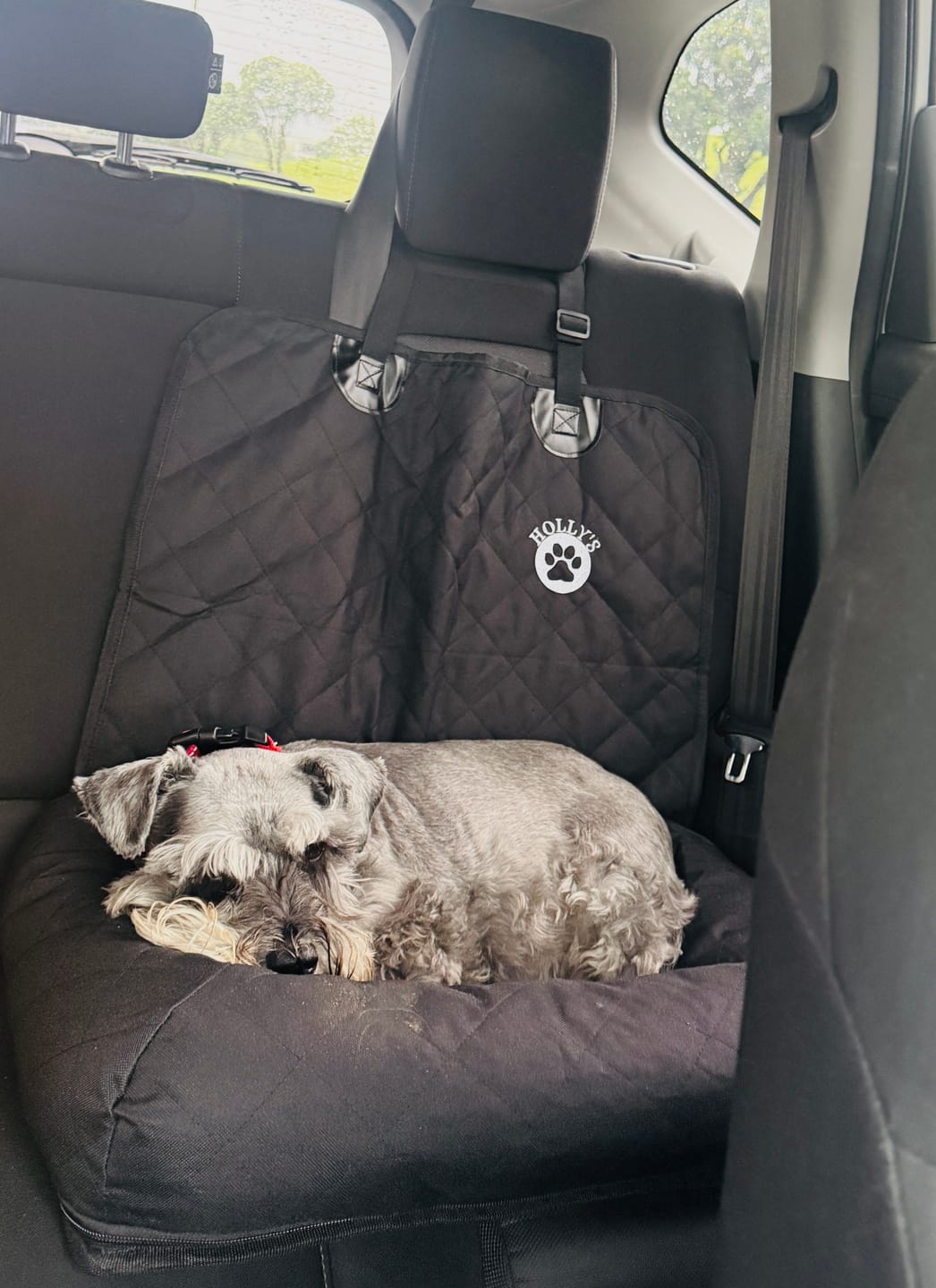 Customer photo review of Car Seat Cover
