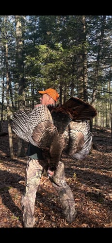 Customer photo review of Crystal Over Slate Pot Call - All Weather