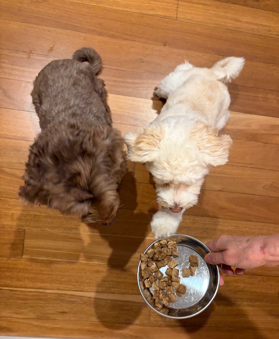 Customer photo review of Bugsy's Air-Dried Turkey