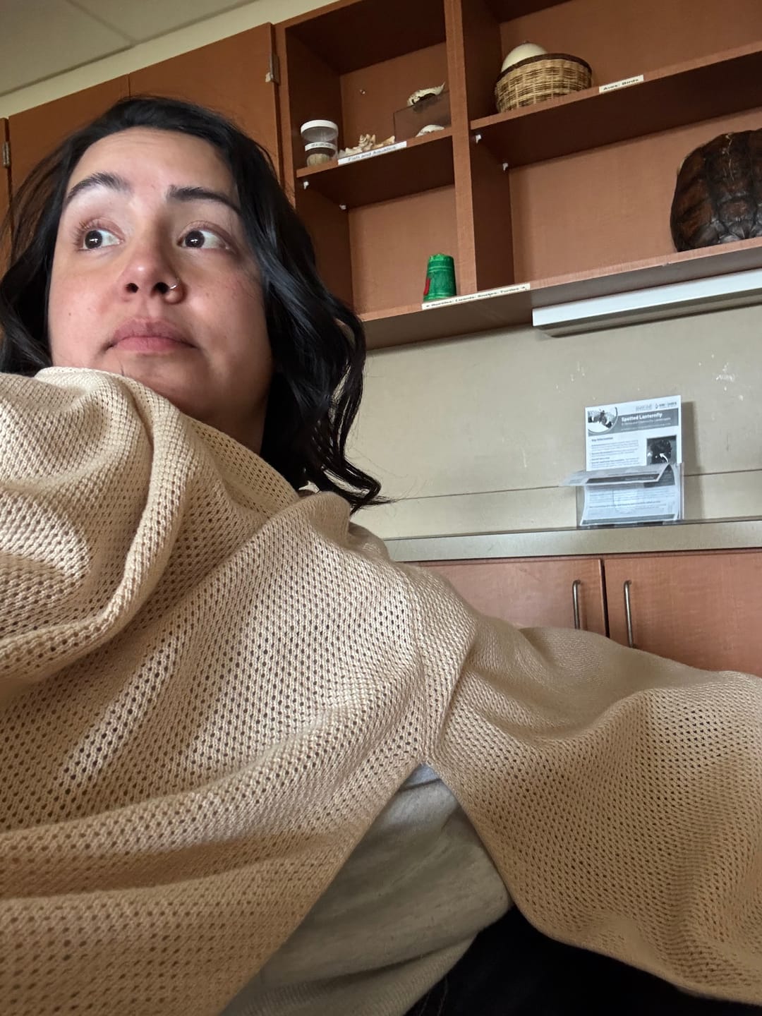 Customer photo review of Nestling Baby™ Nursing Cover