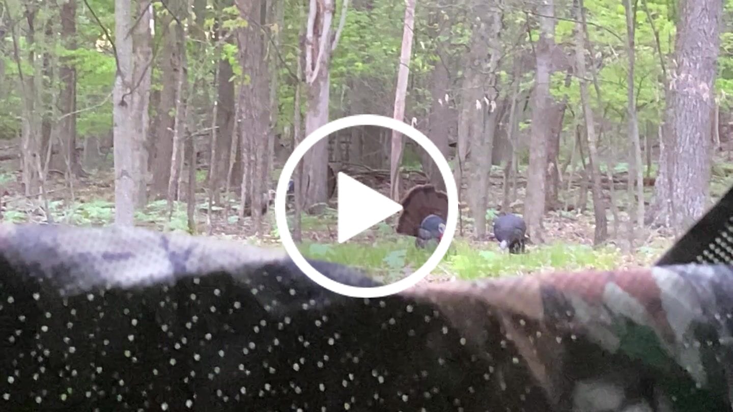 Customer video review of VisX/VisMax See Through Hunting Blind, Pop Up Ground Deer Blind