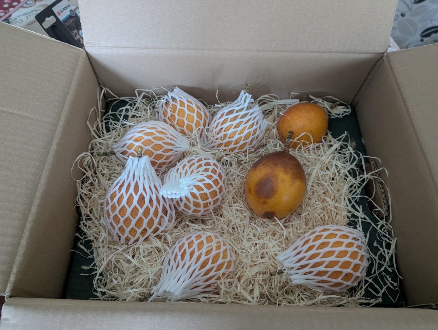 Customer photo review of Süße Granadilla Aktionspreis % 1,5kg
