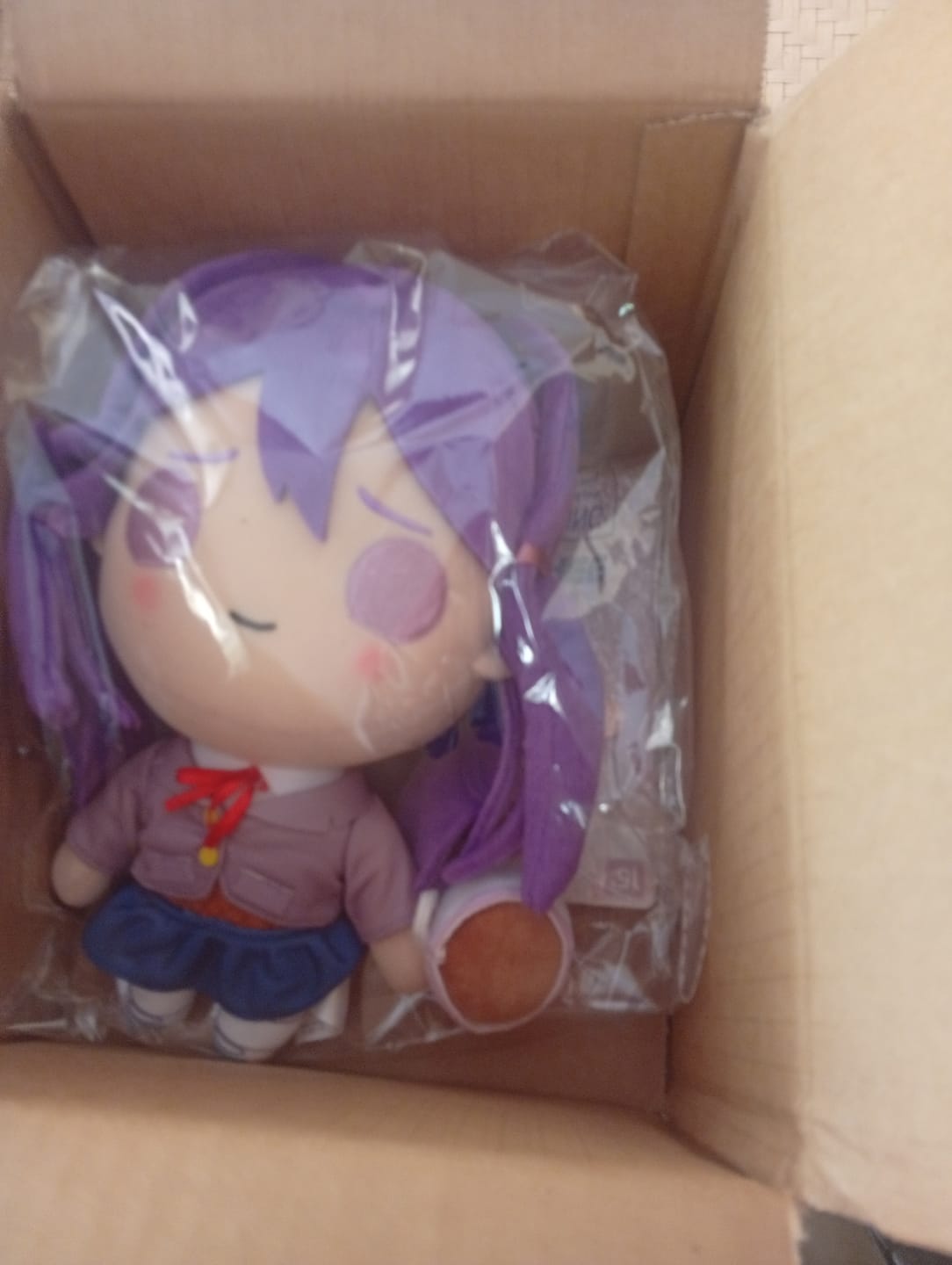 Customer photo review of Doki Doki Literature Club - Yuri Collector's Plush