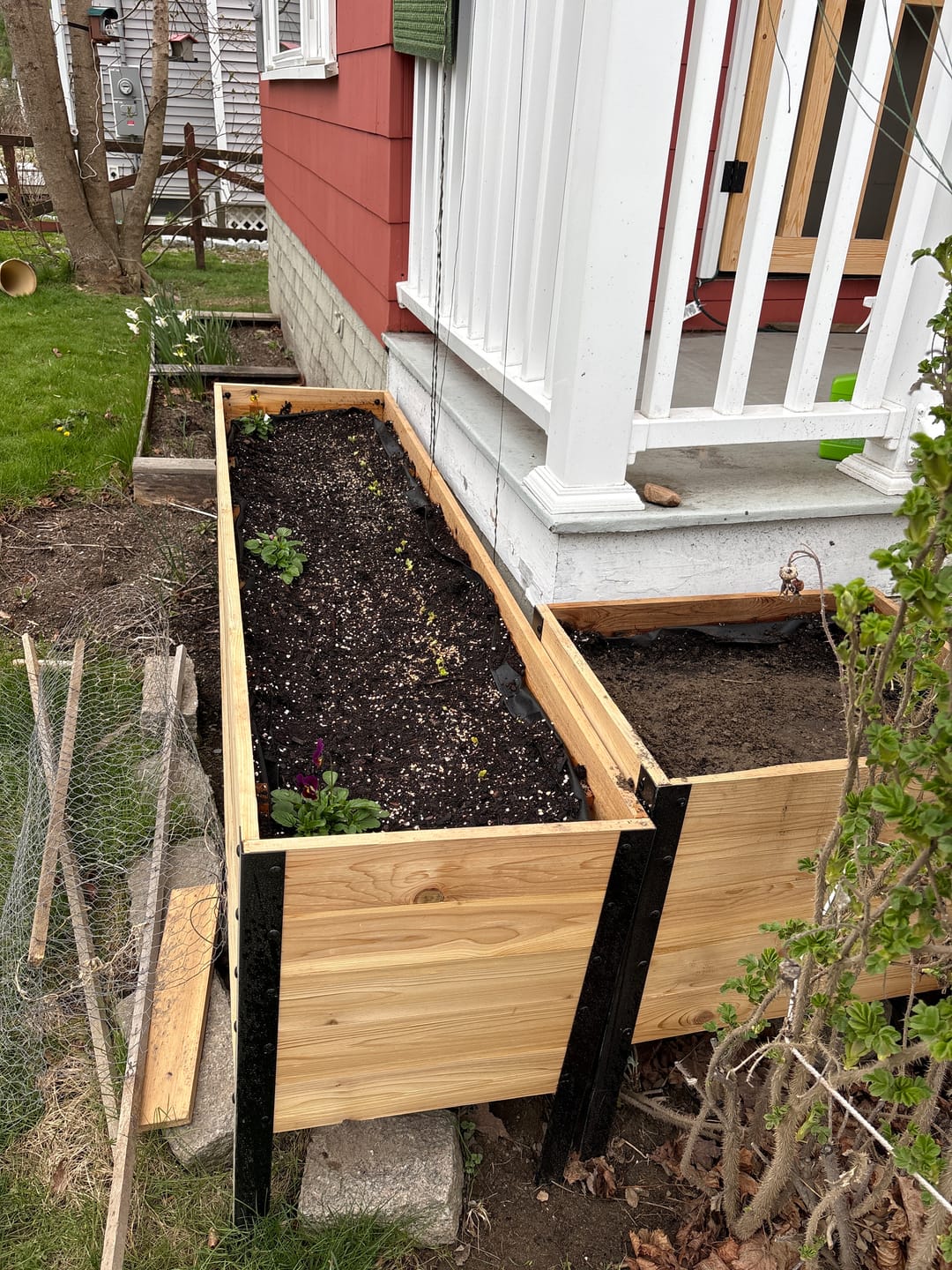 Customer photo review of 18" x 72" Raised Garden Bed - 30" TALL / Garden Grade