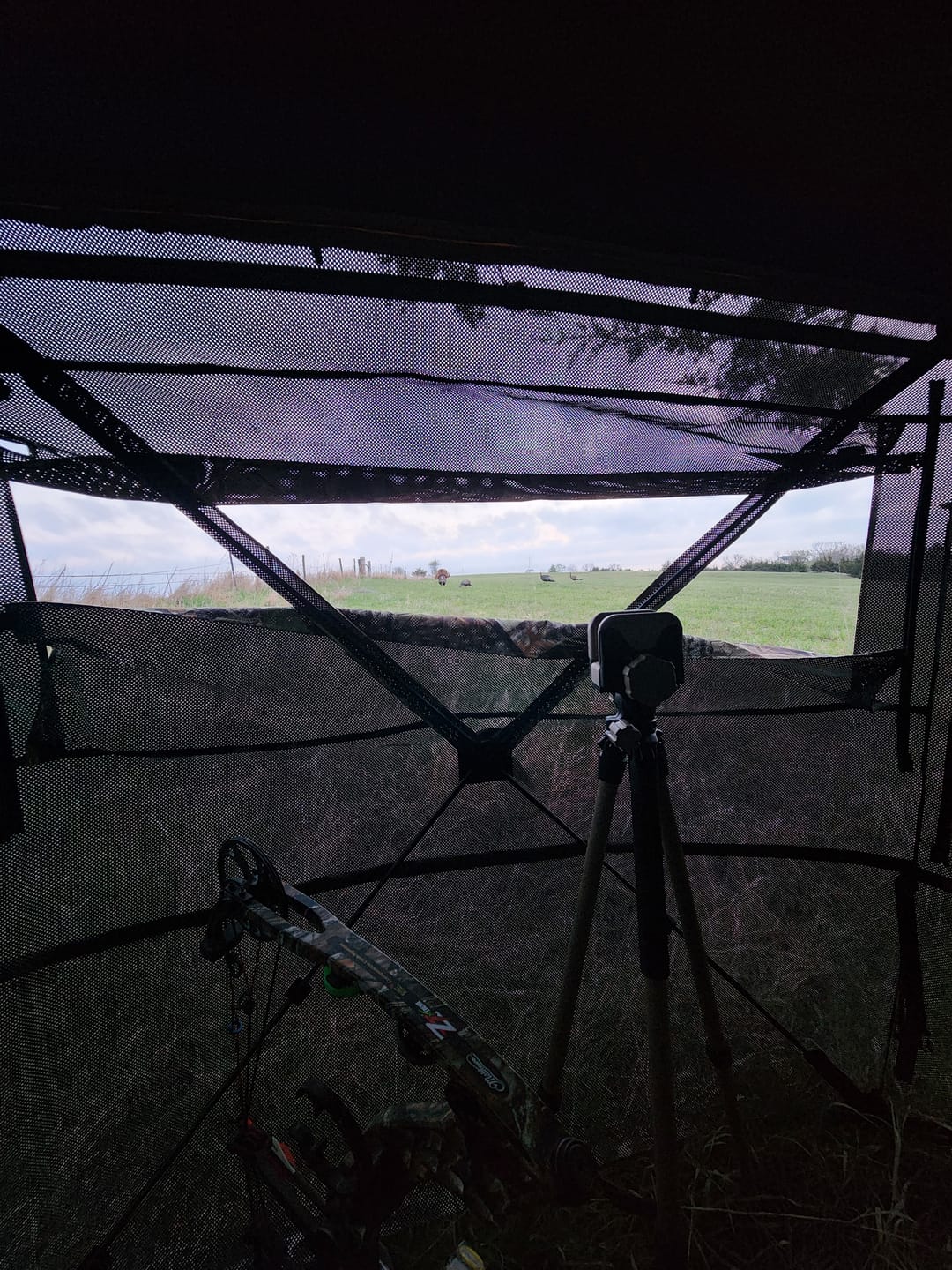 Customer photo review of FLASH SALE VisX/VisMax 270 Degree Ground Blind | See-Through Duck Blind & Portable Pop-Up Deer Blind | Camouflage Hunting Blinds & Best Budget Ground Options